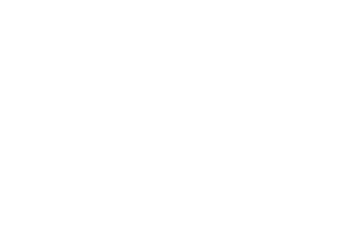 Webstock